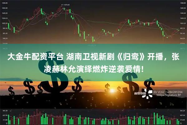 大金牛配资平台 湖南卫视新剧《归鸾》开播，张凌赫林允演绎燃炸逆袭爱情!