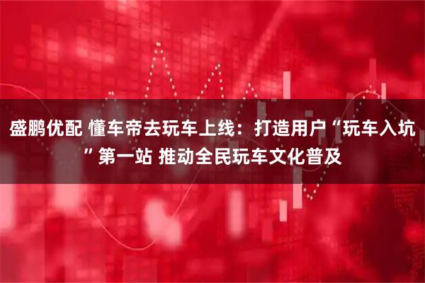盛鹏优配 懂车帝去玩车上线：打造用户“玩车入坑”第一站 推动全民玩车文化普及